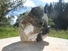 Load image into Gallery viewer, BLACK GHOST CRYSTAL SKELETAL POINT - 155g SPECIMEN.