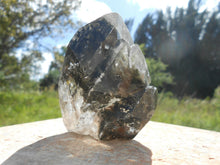 Load image into Gallery viewer, BLACK GHOST CRYSTAL SKELETAL POINT - 155g SPECIMEN.